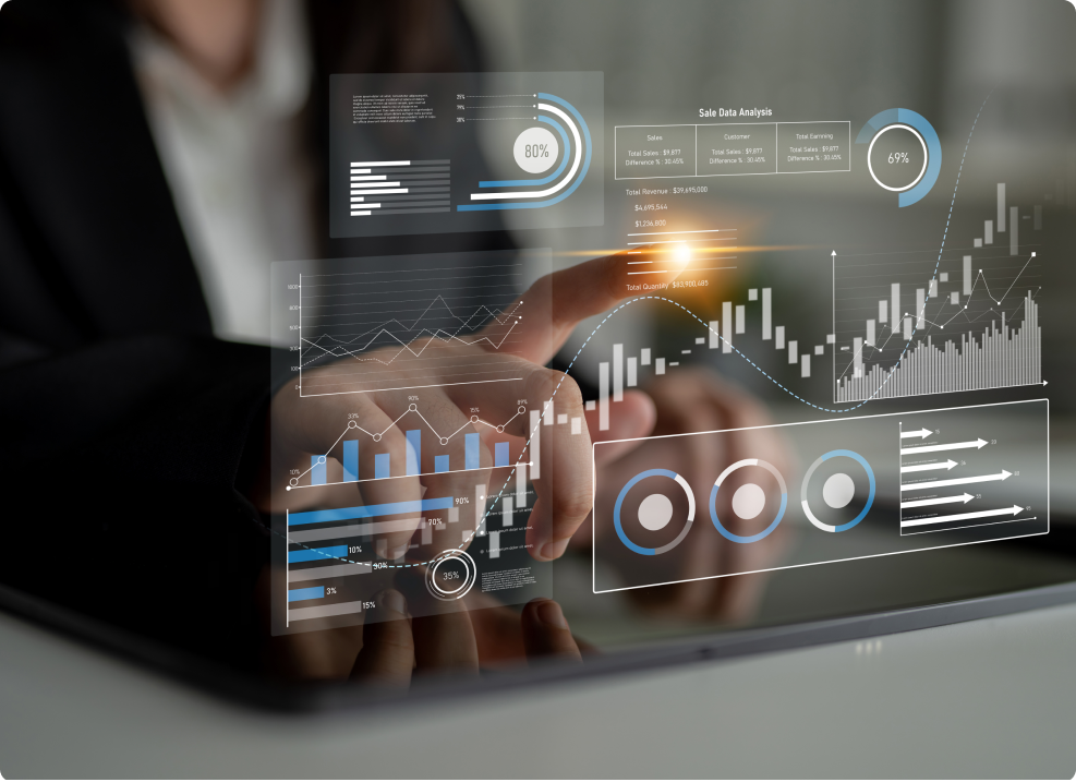 Portfolio Monitoring